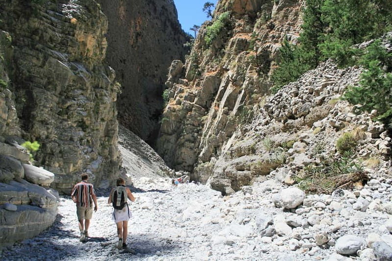 From Heraklion,Agia Pelagia,Malia: Samaria Gorge Guided Trip - Who Should Consider This Tour?