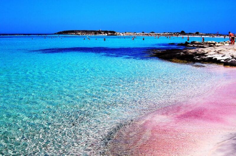 From Hersonissos: Elafonisi Pink Beach Day Trip in Crete - The Details of the Trip