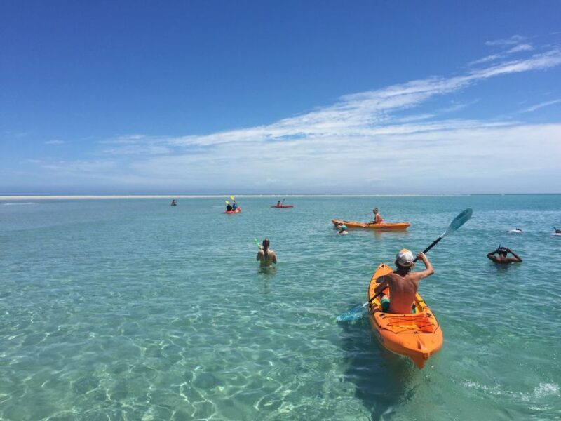 From Hervey Bay: Half-Day K'gari Fraser Island Beach Cruise - Authentic Feedback from Travelers