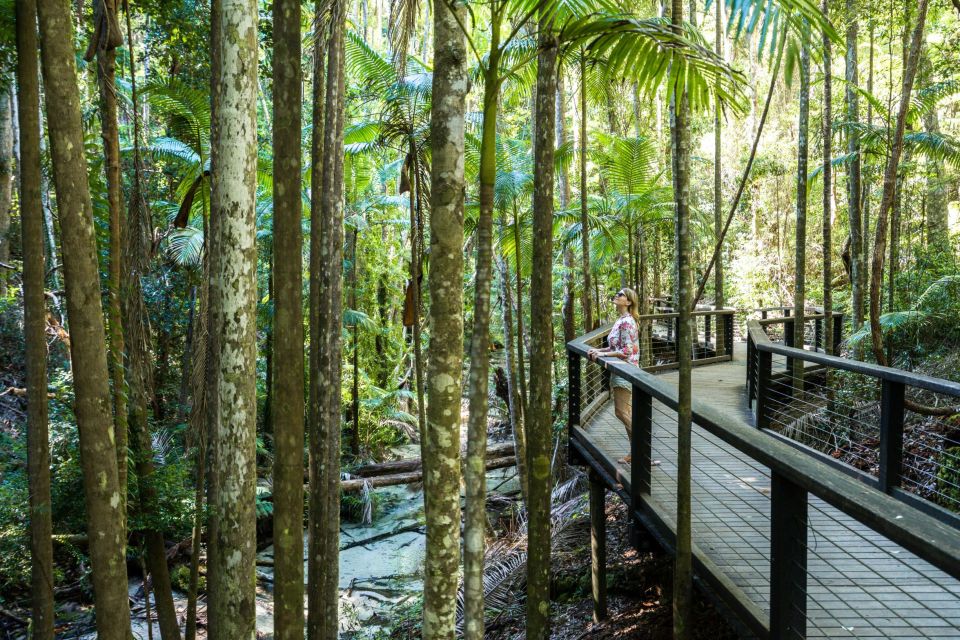 From Hervey Bay: Kgari, Fraser Island Two-Day Coach Tour - Accommodation Details