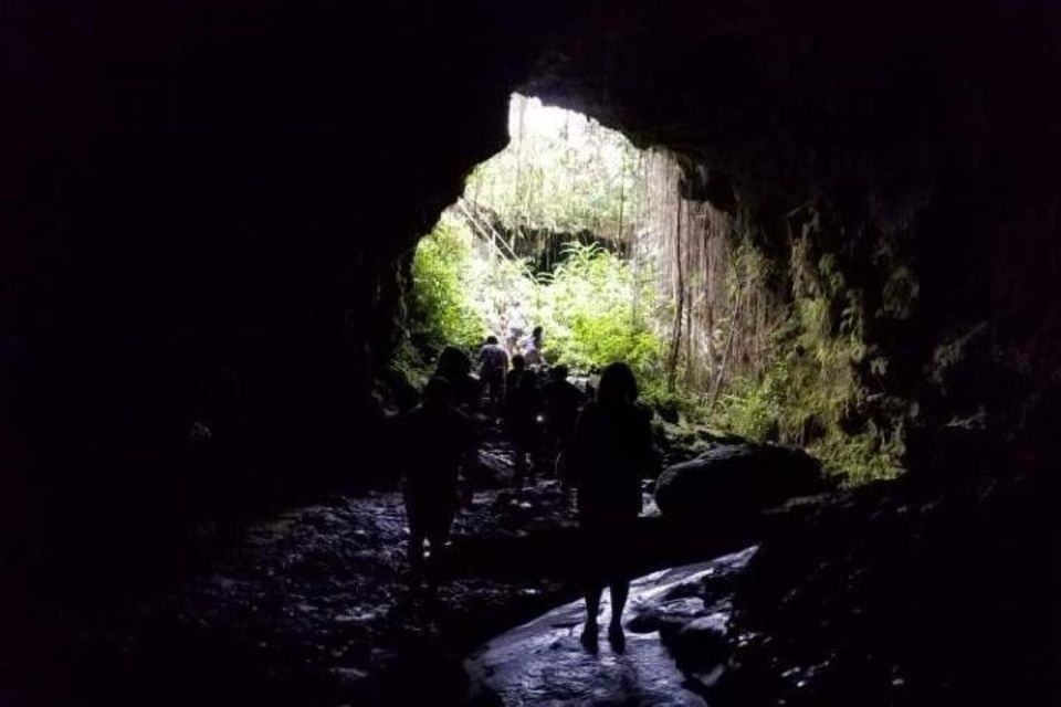 From Hilo: Big Island Volcanoes National Park Tour - Mauna Loa Macadamia Nut Factory