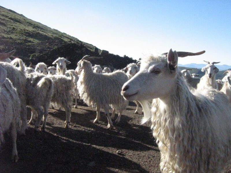 From Himeville: 4-Day Guided Village Hike With Accommodation - Hiking Itinerary