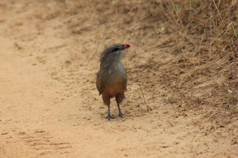 From: Hiriketiya - YALA Safari - To : Ella (Special Offer) - Inclusions and Additional Costs