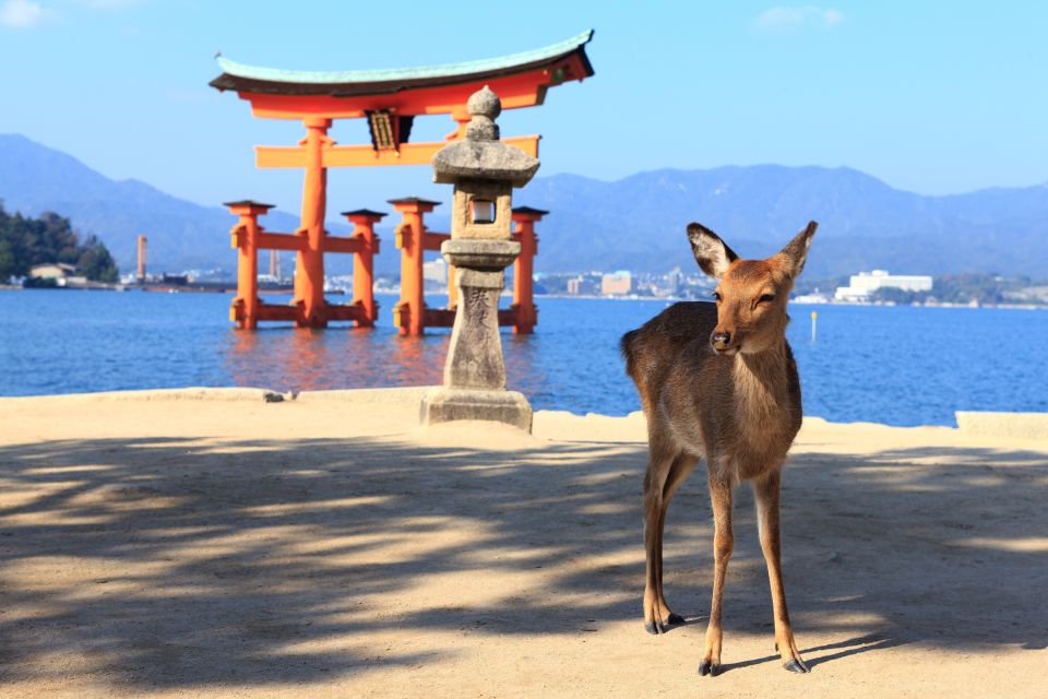 From Hiroshima: Hiroshima and Miyajima Island 1-Day Bus Tour - Miyajima Island and Itsukushima Shrine