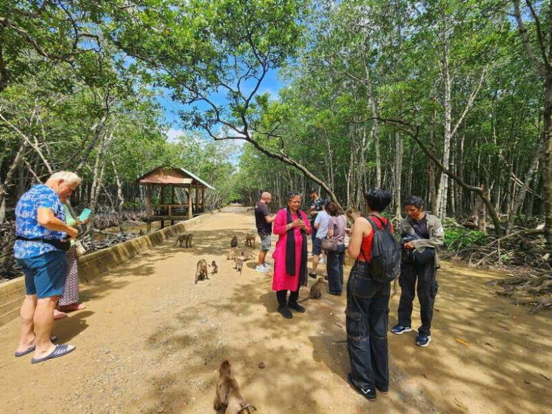 From Ho Chi Minh: Can Gio Mangrove & Monkey Island Day Trip - Inclusions and Amenities
