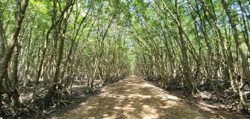 From Ho Chi Minh: Can Gio Mangrove & Monkey Island Day Trip - Customer Feedback and Ratings
