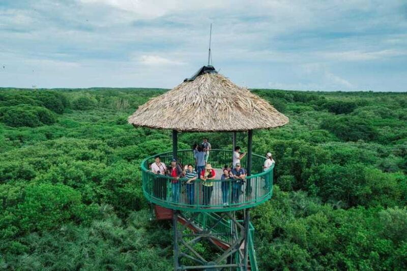 From Ho Chi Minh City: Can Gio Mangrove Forest Day Tour - Exploring the Sac Guerilla Camp