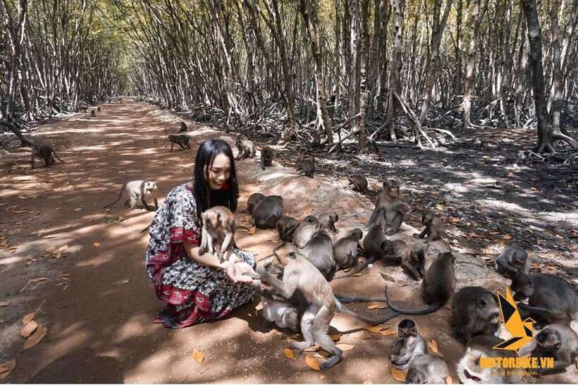 From Ho Chi Minh City: Can Gio Mangrove & Monkey Island Day… - Overview of the Can Gio Day Trip