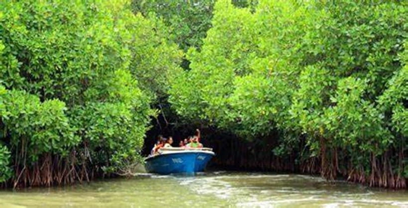 From Ho Chi Minh City: Can Gio Mangrove & Monkey Island Day… - Interaction With Monkeys