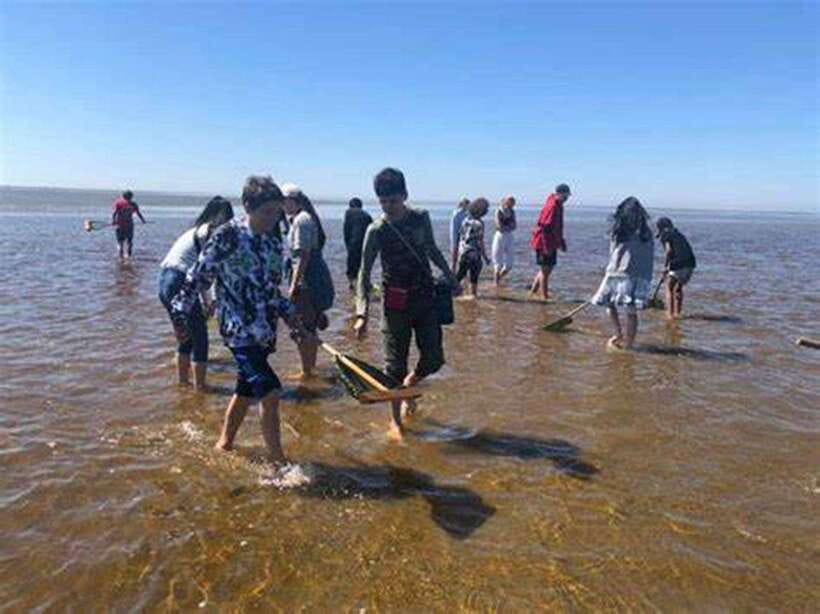 From Ho Chi Minh City: Can Gio Mangrove & Monkey Island Day… - Historical Insights at Sac Guerilla Camp