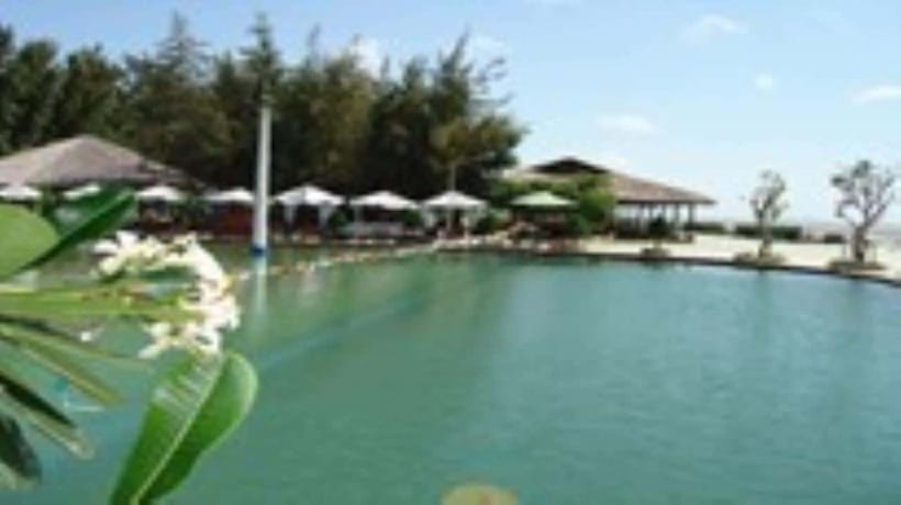 From Ho Chi Minh City: Can Gio Monkey Island Day Tour - Highlights of the Day