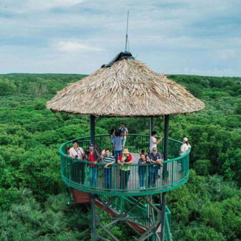 From Ho Chi Minh City: Can Gio Monkey Island Day Tour - Inclusions and Exclusions