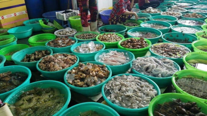 From Ho Chi Minh City: Can Gio Monkey Island Day Trip - Optional Activities and Free Time