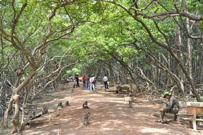 From Ho Chi Minh City: Can Gio Monkey Island Day Trip - Important Tour Information