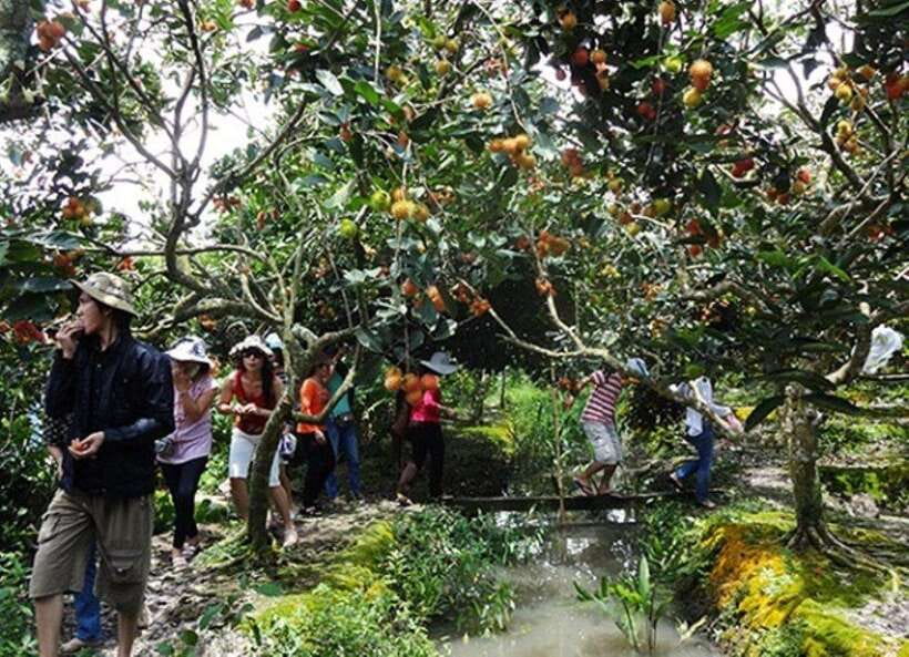 FROM HO CHI MINH: CU CHI TUNNELS & MEKONG DELTA FULL DAY - Cultural Experiences
