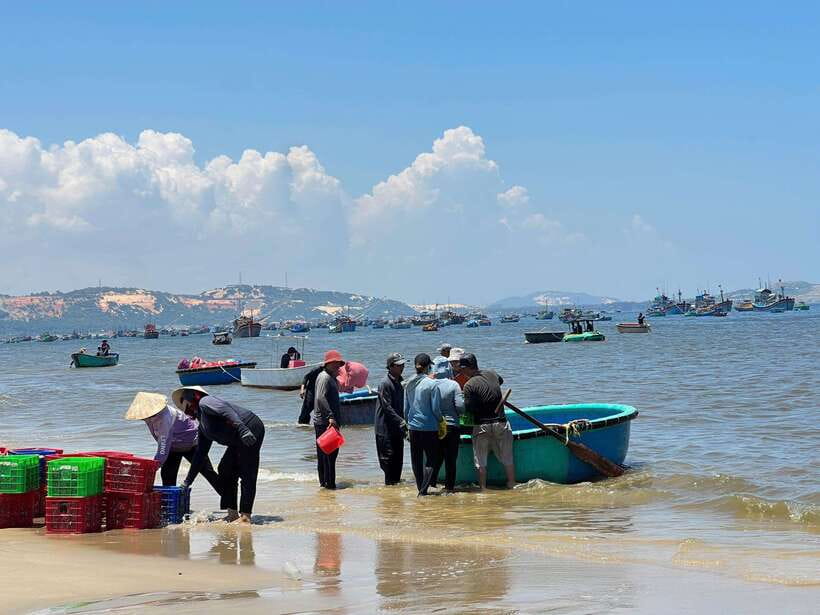From Ho Chi Minh: Mui Ne and Phan Thiet Day Trip - Local Fishing Village With Wooden Boats