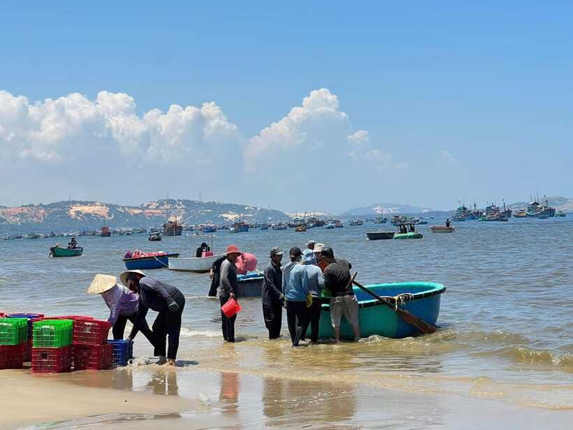 From Ho Chi Minh: Mui Ne and Phan Thiet Day Trip - Inclusions, Exclusions, and Important Information