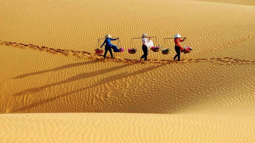 From Ho Chi Minh: Mui Ne Full-Day Tour - Tour Overview and Pricing