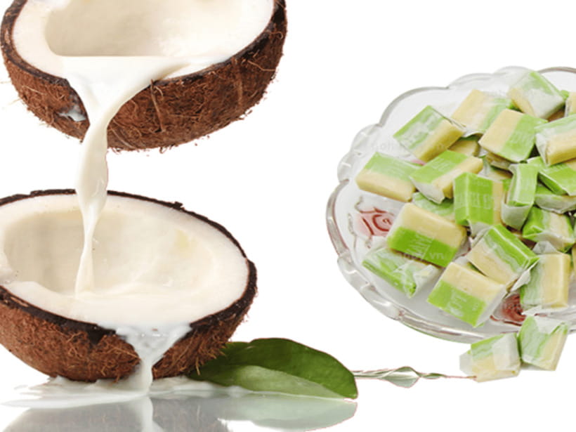 From Ho Chi Minh: My Tho Ben Tre Mekong With Lunch - Coconut Candy Workshop and Orchard Garden