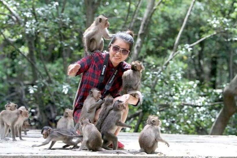 From Ho Chi Minh:Group or Private Tour Can Gio,Monkey Island - Inclusions of the Tour