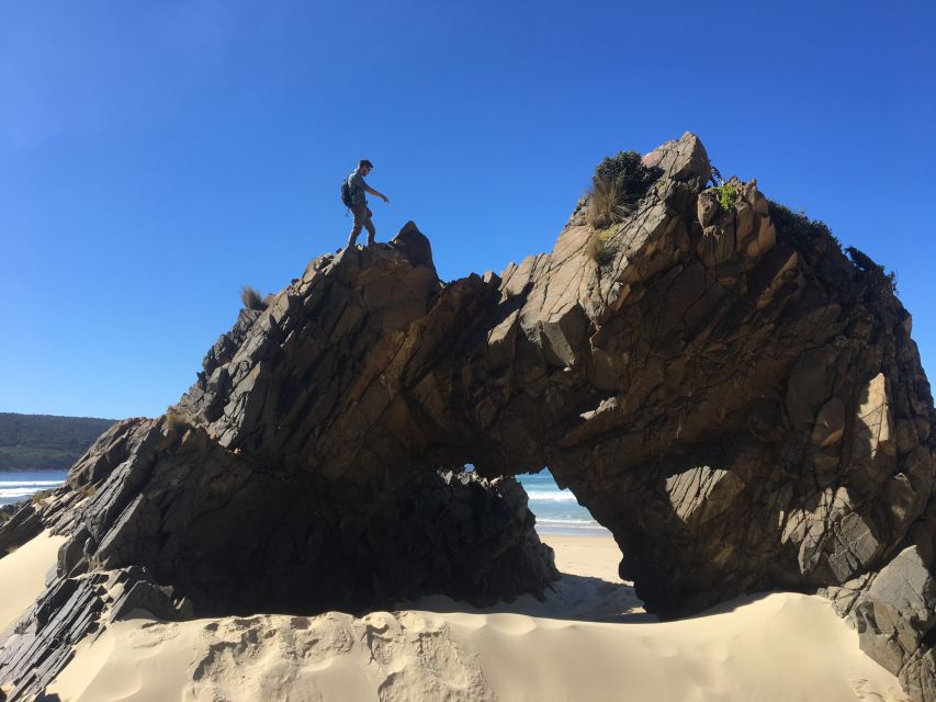 From Hobart: 2-Day Bruny Island and Port Arthur Tour - Detailed Itinerary