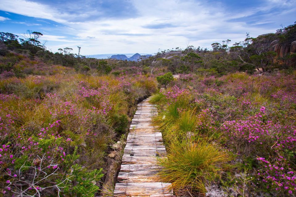 From Hobart: 4-Day Guided Freycinet National Park Walk - Meeting Point