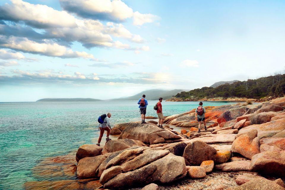 From Hobart: 4-Day Guided Freycinet National Park Walk - Customer Reviews