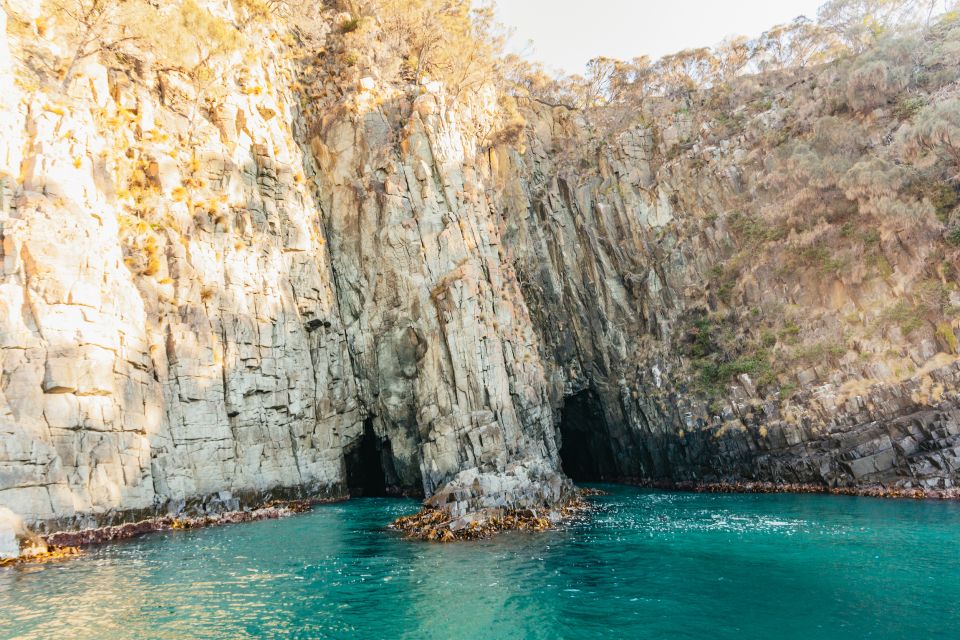 From Hobart/Adventure Bay: Bruny Island Wilderness Cruise - Important Information