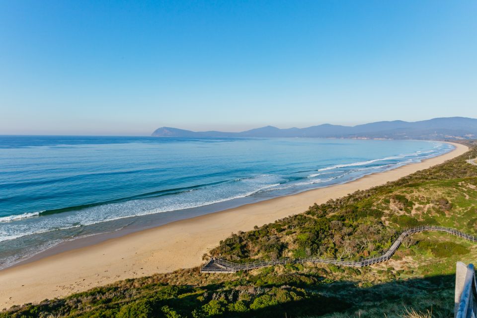 From Hobart/Adventure Bay: Bruny Island Wilderness Cruise - Customer Reviews