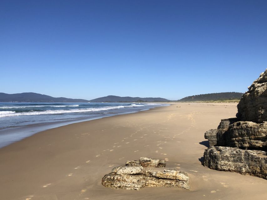From Hobart: Bruny Island Nature and Produce Full-Day Tour - Important Information