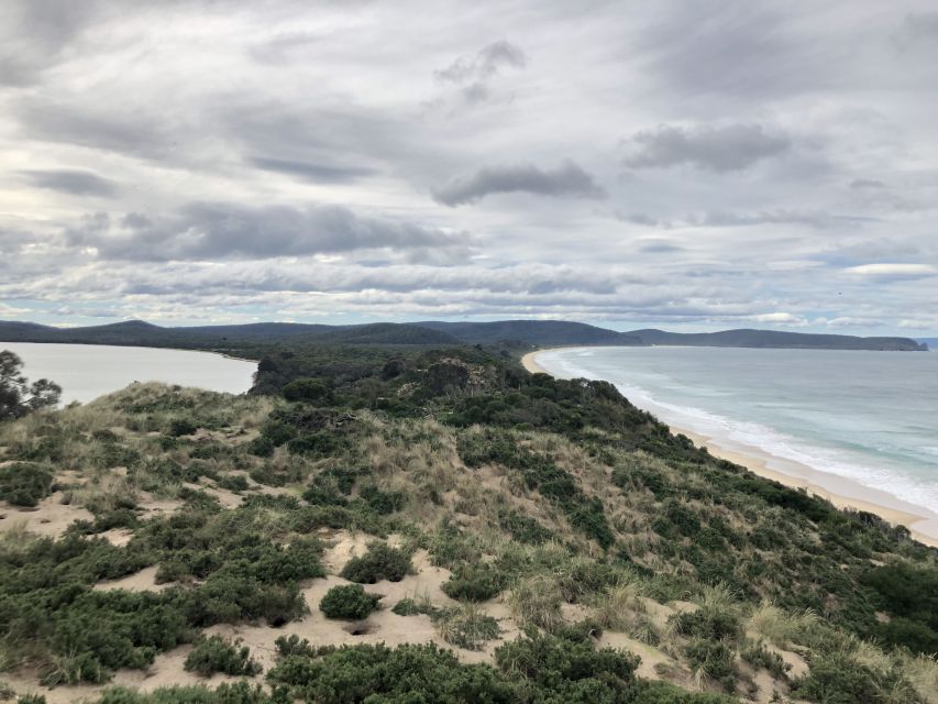 From Hobart: Bruny Island Nature and Produce Full-Day Tour - Pricing Details