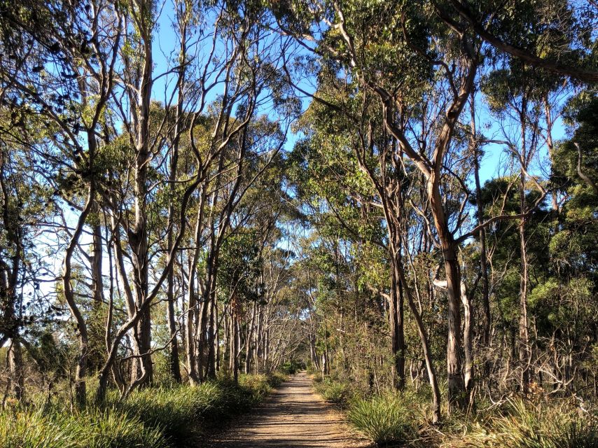 From Hobart: Bruny Island Nature and Produce Full-Day Tour - Inclusions