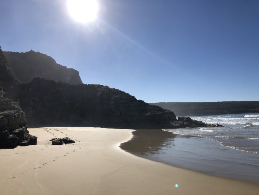 From Hobart: Bruny Island Nature and Produce Full-Day Tour - Frequently Asked Questions