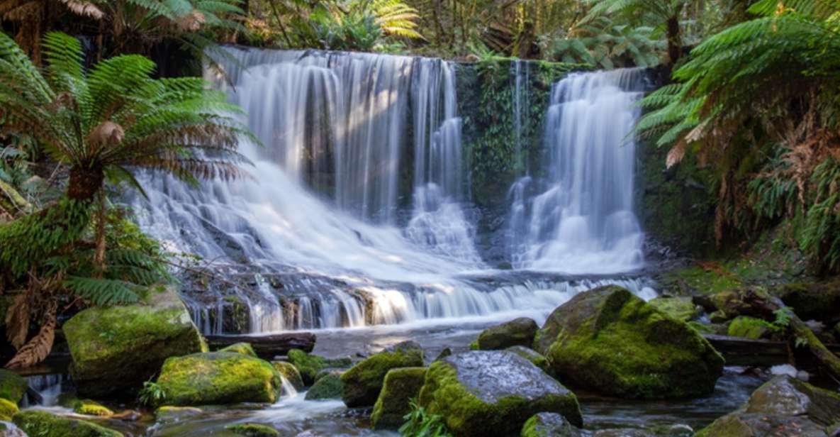 From Hobart: Mt. Field National Park and Russell Falls - Key Points