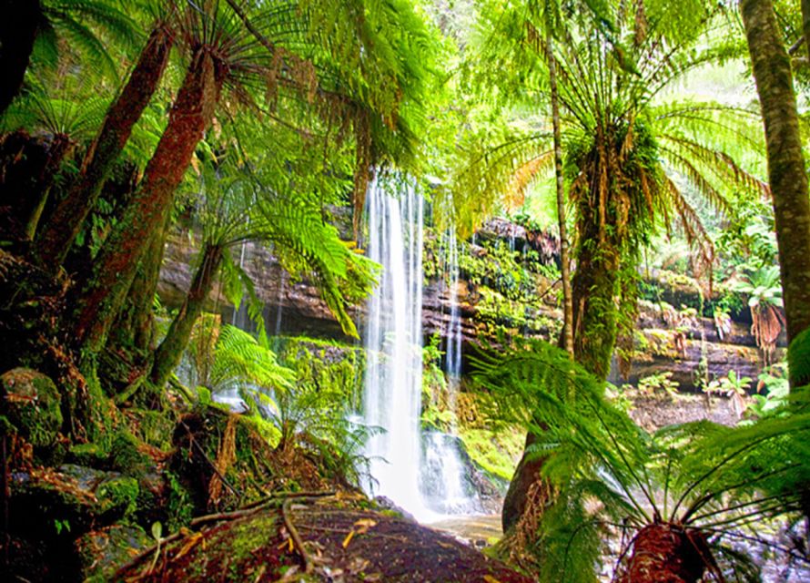 From Hobart: Mt. Field National Park and Russell Falls - Customer Reviews
