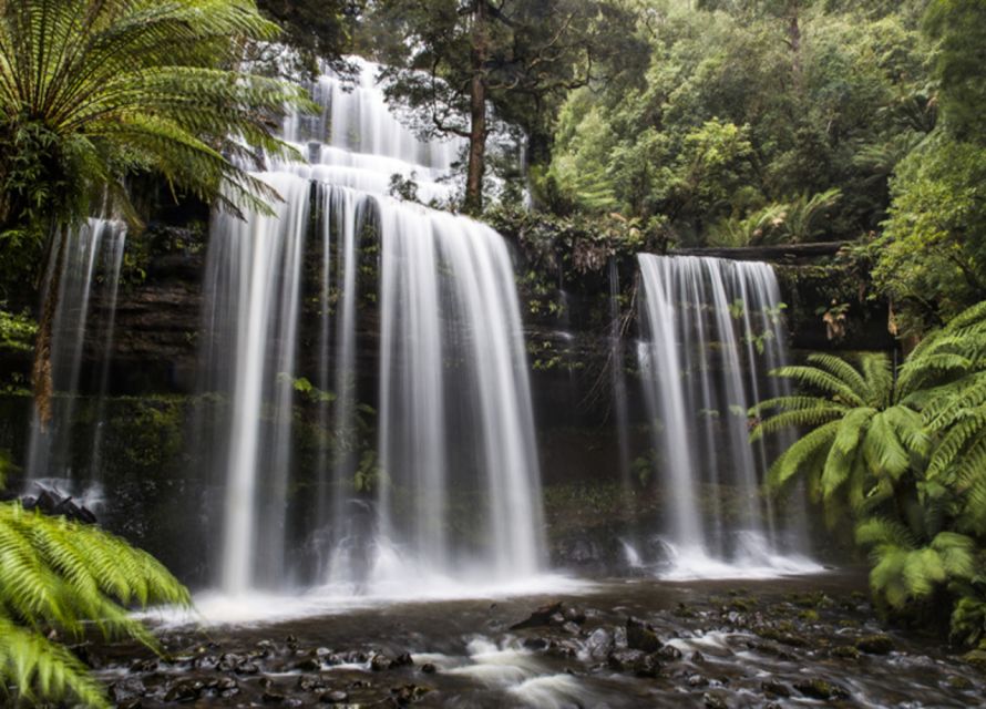 From Hobart: Mt. Field National Park and Russell Falls - Important Information