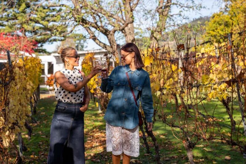 From Hobart: Tasmanian Wine Tour - What Guests Are Saying