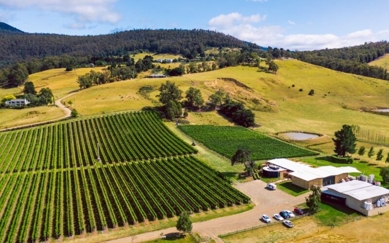 From Hobart: Tasmanian Wine Tour - Who Should Consider This Tour?