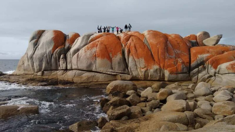 From Hobart: The Ultimate 10-Day Tour of Tasmania's Regions - Key Points