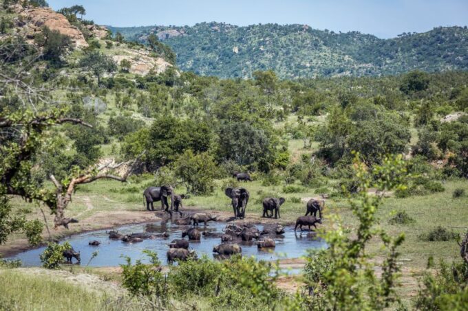 From Hoedspruit: Kruger National Park Full-Day Safari - Frequently Asked Questions