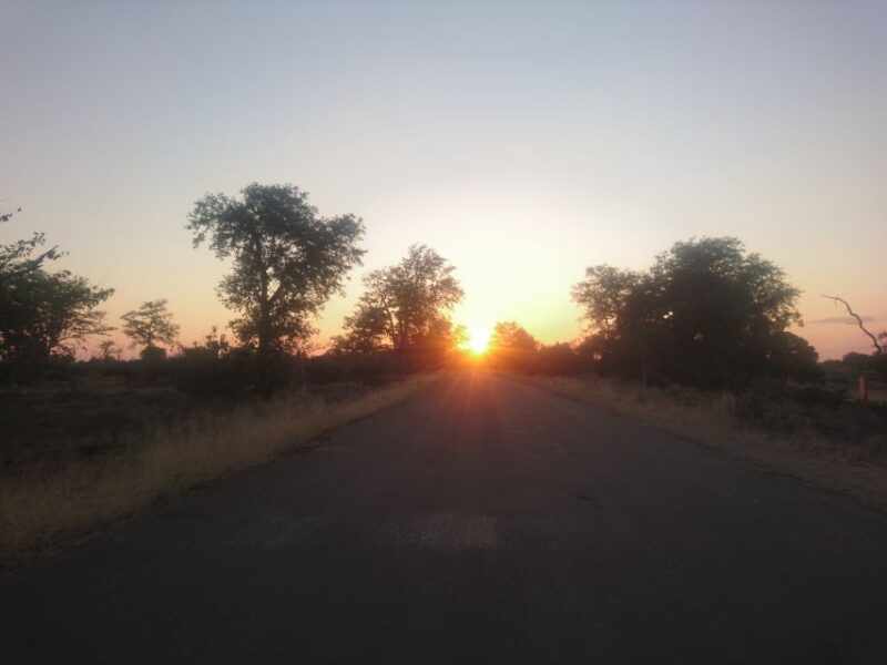From Hoedspruit: Kruger National Park Safari With Transfer - Recommended Packing and Restrictions