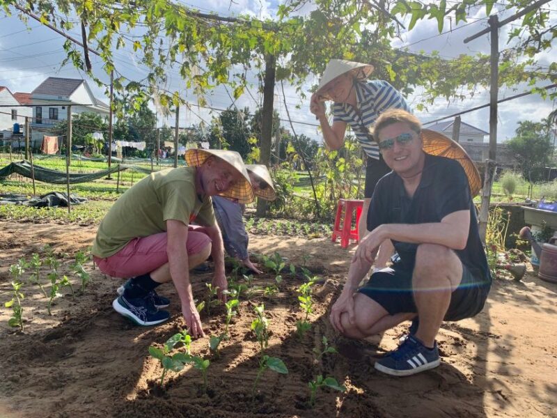 From Hoi An: Cooking Class at Organic Farm - Important Information