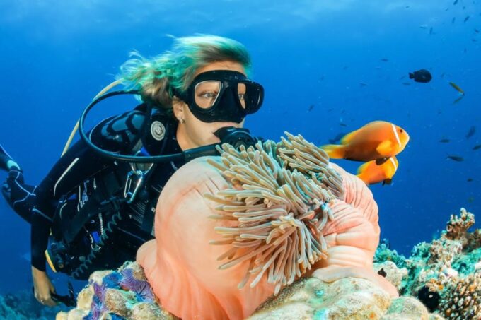 From Hoi An/Da Nang: Amazing Cham Island Snorkeling Tour - Frequently Asked Questions