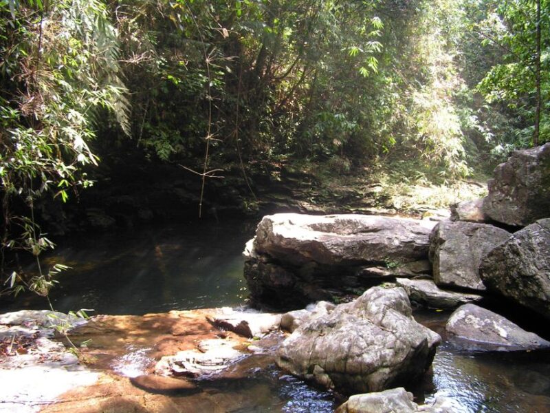 From Hoi An: Full-Day Trip With National Park Hike and Beach - Beach Activities