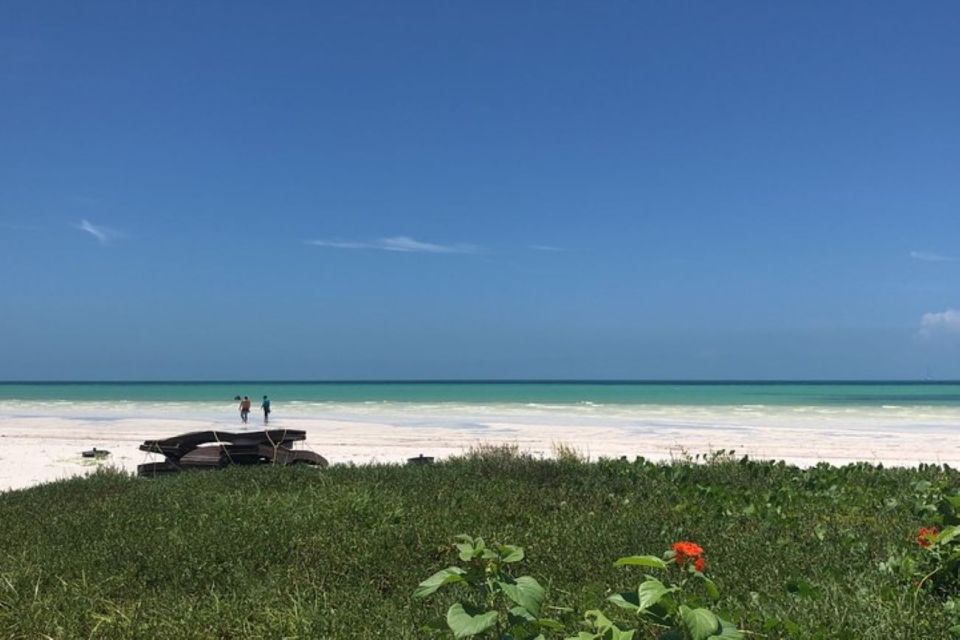 From Holbox: Private Transportation to Cancun - Frequently Asked Questions