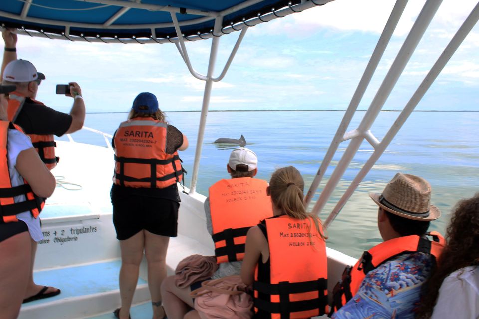 From Holbox: Speedboat Cruise With Lagoon Swim - Frequently Asked Questions