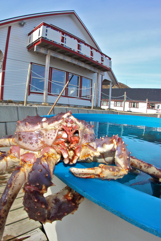 From Honningsvåg: VIP North Cape and Kingcrab Tour - Inclusions and Amenities