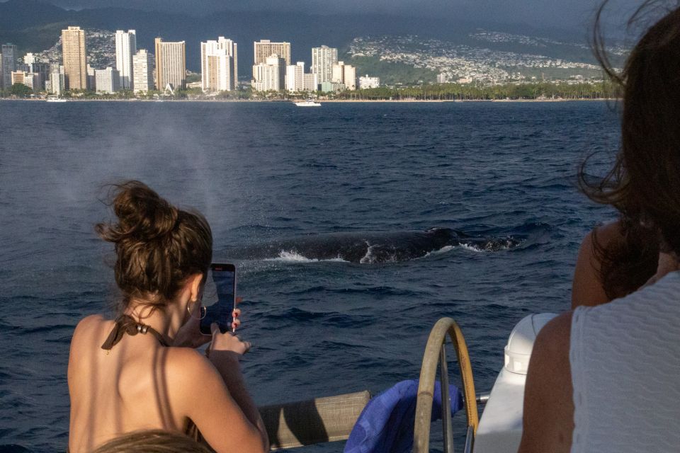 From Honolulu: Private Catamaran Cruise With Captain & Crew - Recap