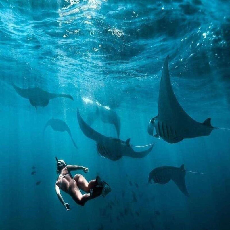 From Hotel to Nusa Penida Full day Tours - FAQ