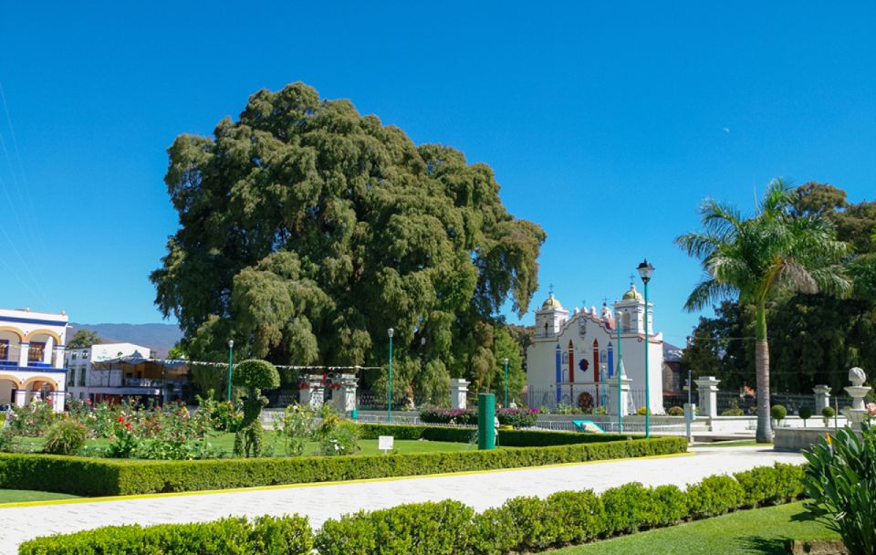 From Huatulco: 2 Days Excursion to Oaxaca City - Day 1 Activities